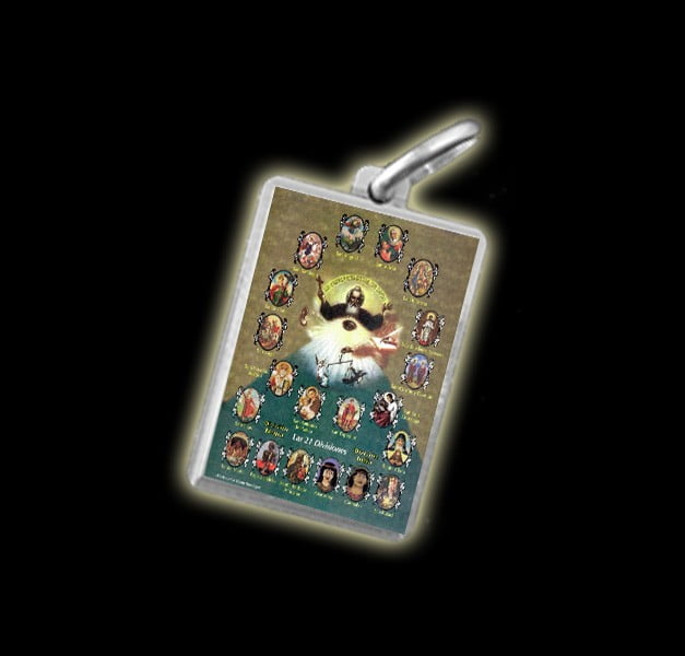 Medaglia - Immagine a colori 21 DIVISIONI - argento 925