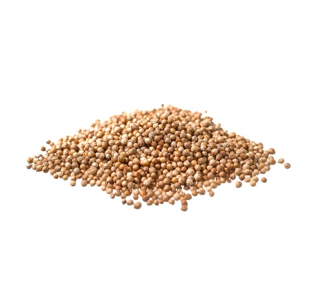 CORIANDER - CORIANDRUM SATIVUM CORIANDER - CORIANDRUM SATIVUM