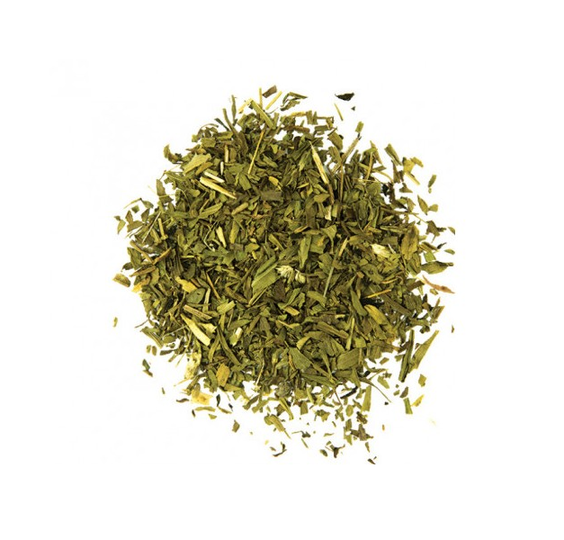 HERB OF THE DRAGOON - ARTEMISIA DRACUNCULUS - TERRAGON