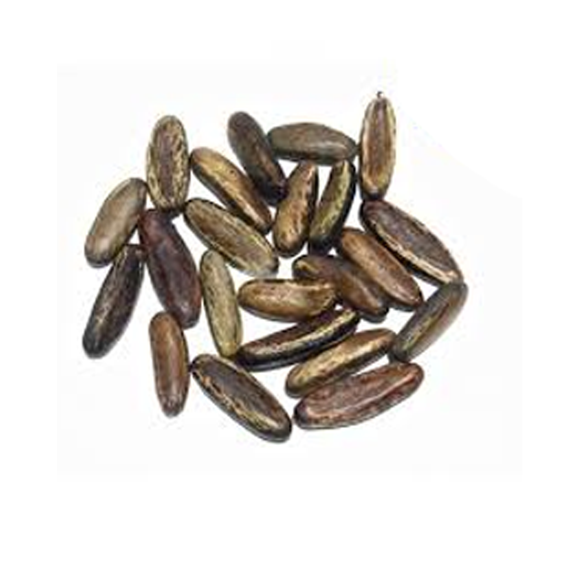 FAVA DI OXUMARE 1 PZ FAVA DI OXUMARE 1 PZ