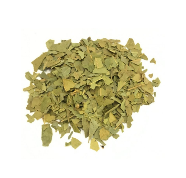 LAUREL - LAURUS NOBILIS - ALLORO LAUREL - LAURUS NOBILIS - ALLORO