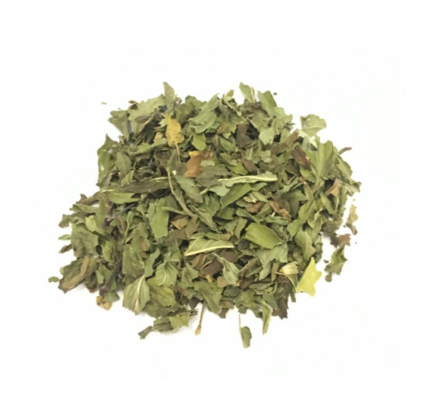 PEPEPRMINT - MENTHA PIPERITA PEPEPRMINT - MENTHA PIPERITA