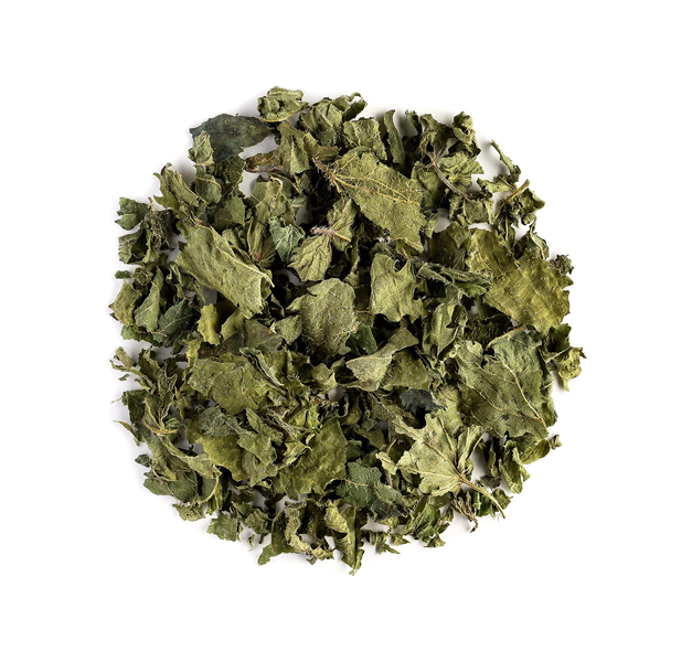 NETTLE - URTICA DIOICA NETTLE - URTICA DIOICA