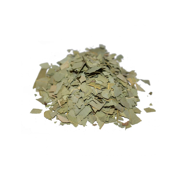 SACA LO MALO - EUCALYPTUS GLOBULUS - EUCALIPTO SACA LO MALO - EUCALYPTUS GLOBULUS - EUCALIPTO