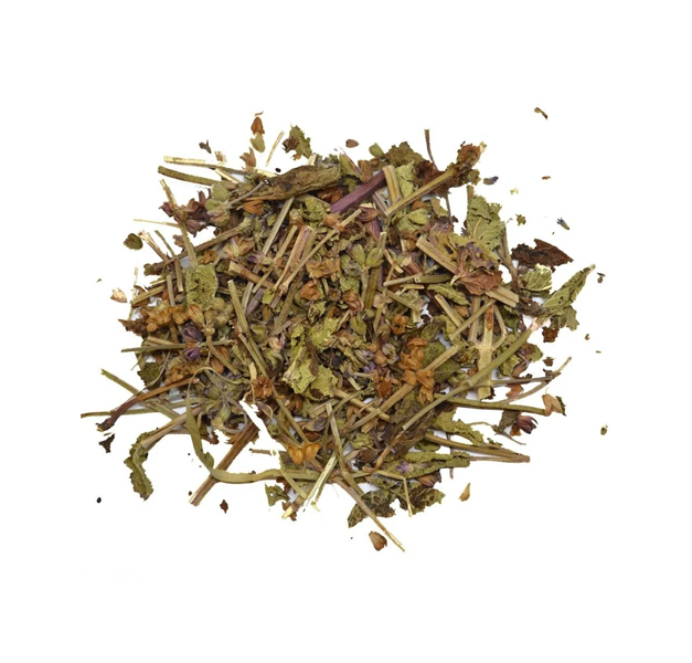VERBENA - VERBENA OFFICINALIS - VERBENA VERBENA - VERBENA OFFICINALIS - VERBENA