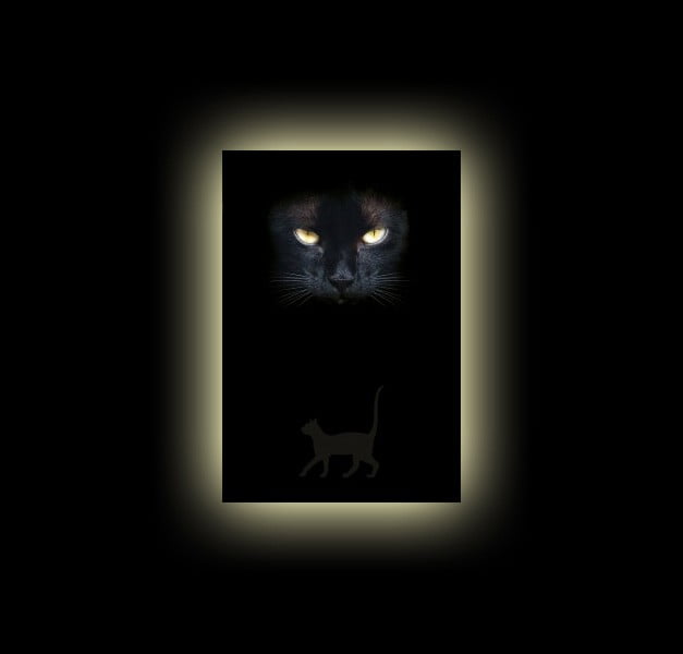 JOURNAL EYES CATS JOURNAL EYES CATS