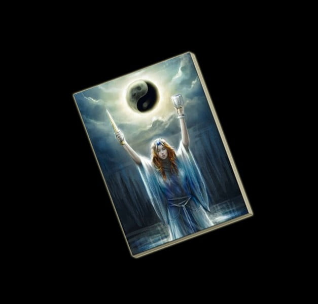 THE BOOK OF SHADOWS THE BOOK OF SHADOWS
