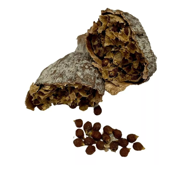 FAVA DI PIMENTA DA COSTA - ATARE' 1 PEZZO - immagine 2