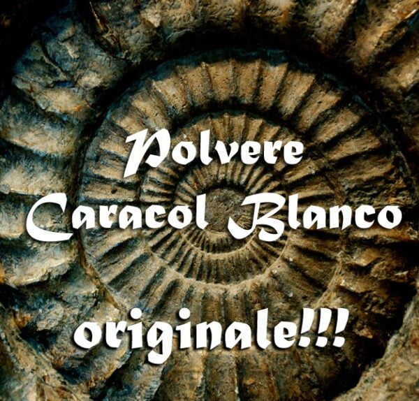 POLVERE CARACOL BLANCO - KIT RITUALE DOMINIO