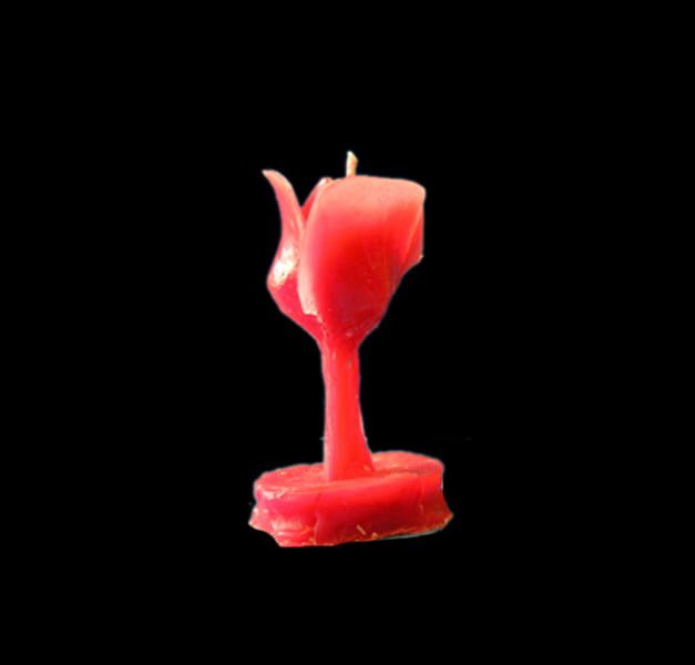 ROSE OF POMBA GIRA - COLOUR RED ROSE OF POMBA GIRA - COLOUR RED