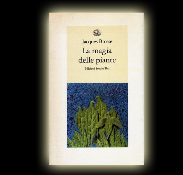 THE MAGIC OF PLANTS THE MAGIC OF PLANTS