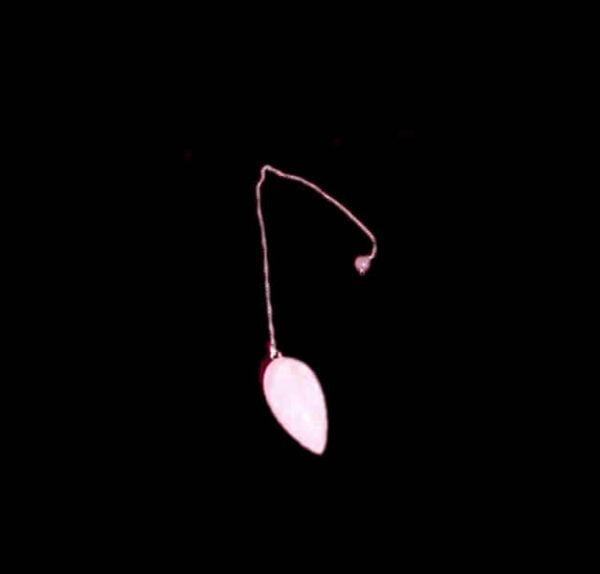 PINK QUARZ PENDULUM - DROP