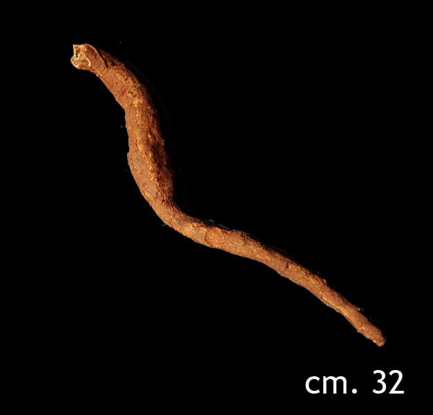 MANDRAGORA AUTUMNALIS ABOUT CM 32 MANDRAGORA AUTUMNALIS ABOUT CM 32