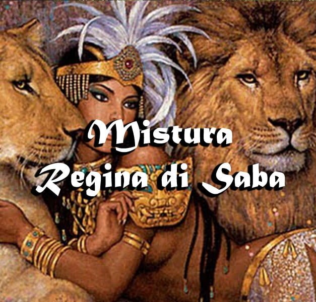 MISTURA SPECIALE - REGINA DI SABA MISTURA SPECIALE - REGINA DI SABA