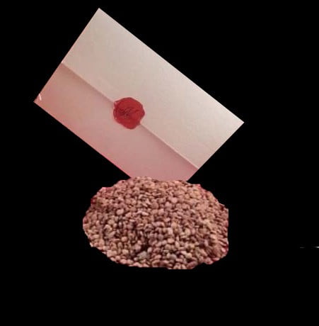 Semi Piante Semi Erbe Aromatiche Da Piantare 150 Semi Di Mandragora Officinarum - Pianta Esotica Per Balcone, Serra O Giardino Aromatiche Mandragola Pianta