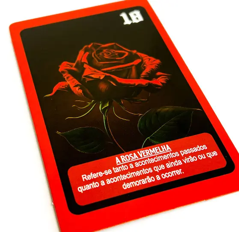 CARTAS DA MARIA PADILHA - immagine 2