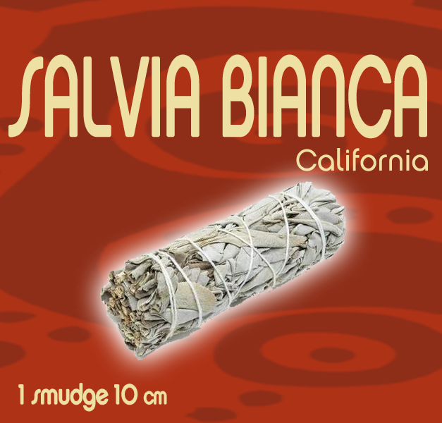 Incenso Sciamanico di Salvia bianca - 1 smudge 10 cm
